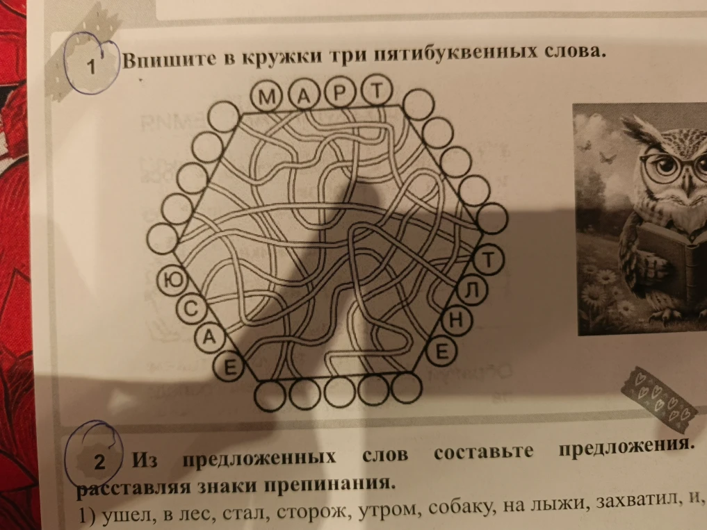 Впишите в кружки три пятибуквенных слова.