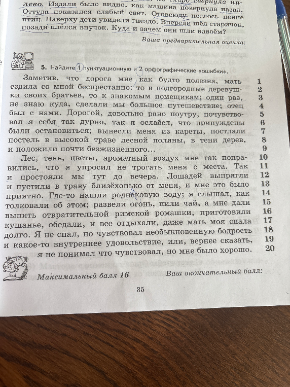 Найдите 1 пунктуационную и 2 орфографические ошибки.