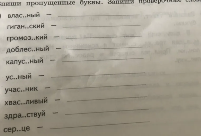 Впиши пропущенные буквы. Запиши проверочные слова
