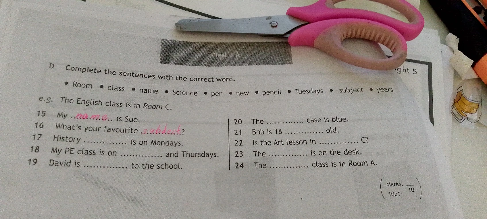 Complete the sentences with the correct word.