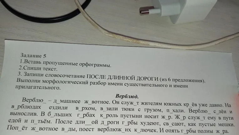 Вставь пропущенные орфограммы. Спиши текст. Запиши словосочетание ПОСЛЕ ДЛИННОЙ ДОРОГИ (из 6 предложения). Выполни морфологический разбор имени существительного и имени прилагательного.