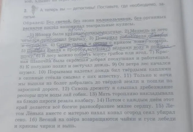 А теперь вы — детективы! Поставьте, где необходимо, запятые.