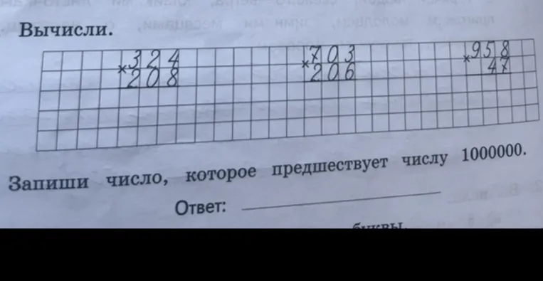 Вычисли. 324 * 208, 703 * 206, 958 * 47. Запиши число, которое предшествует числу 1000000.