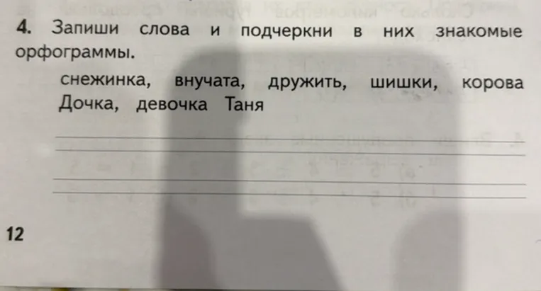 4. Запиши слова и подчеркни в них знакомые орфограммы.