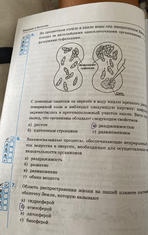 На предметном стекле в капле воды под микроскопом Витя наблюдал за мельчайшими одноклеточными организмами — инфузориями-туфельками.
