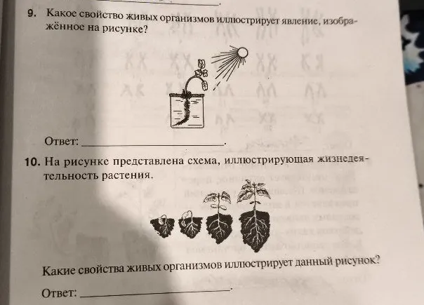 9. Какое свойство живых организмов иллюстрирует явление, изображённое на рисунке?
