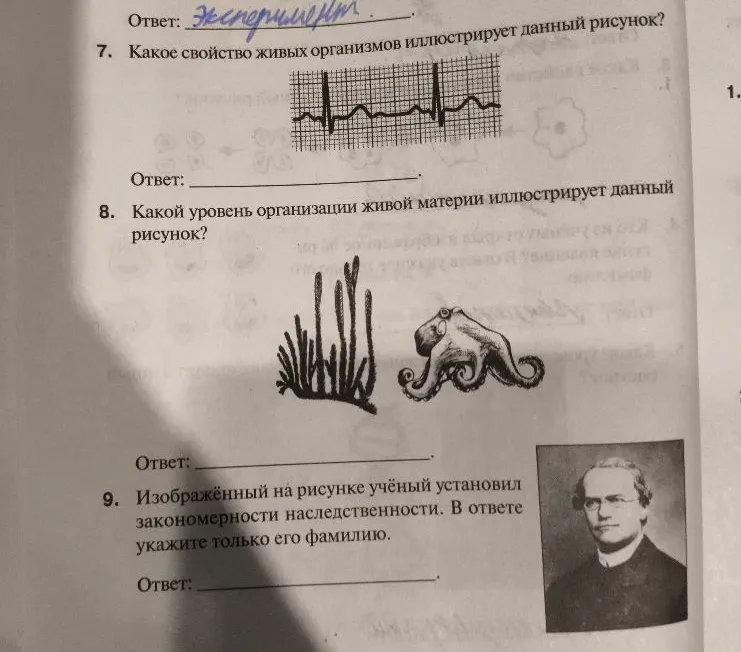 Какое свойство живых организмов иллюстрирует данный рисунок?