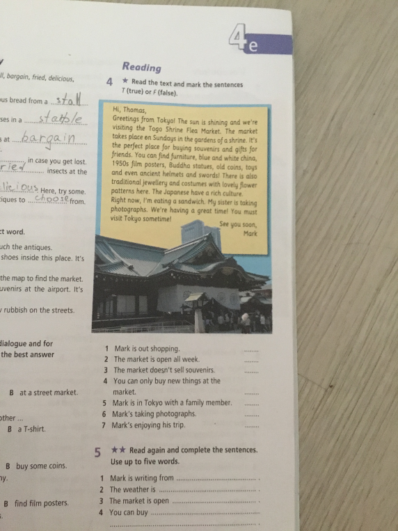 Read the text and mark the sentences T (true) or F (false).