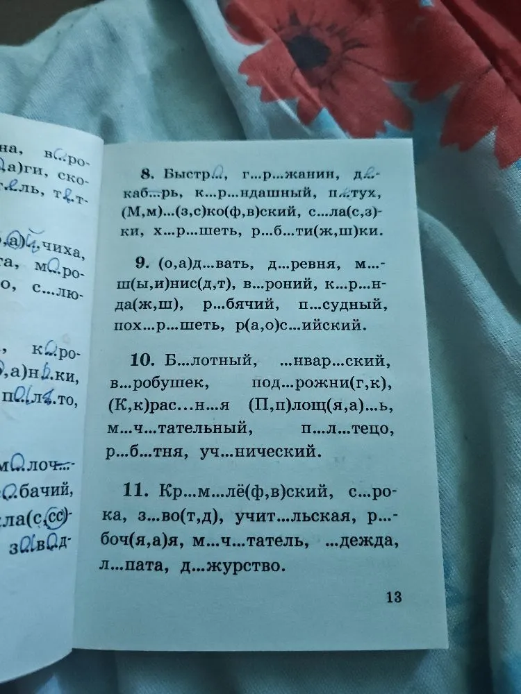 8. Быстр..., г...р...жанин, д...каб...рь, к...р...ндашный, п...тух, (М,м)...(з,с)ко(ф,в)ский, с...ла(с,з)-ки, х...р...шеть, р...б...ти(ж,ш)ки.