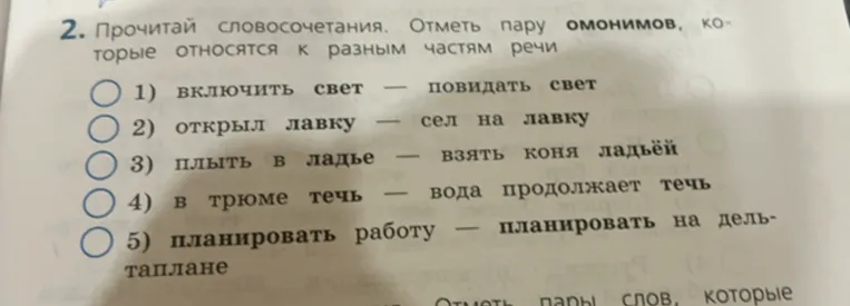 2. Прочитай словосочетания. Отметь пару омонимов, которые относятся к разным частям речи