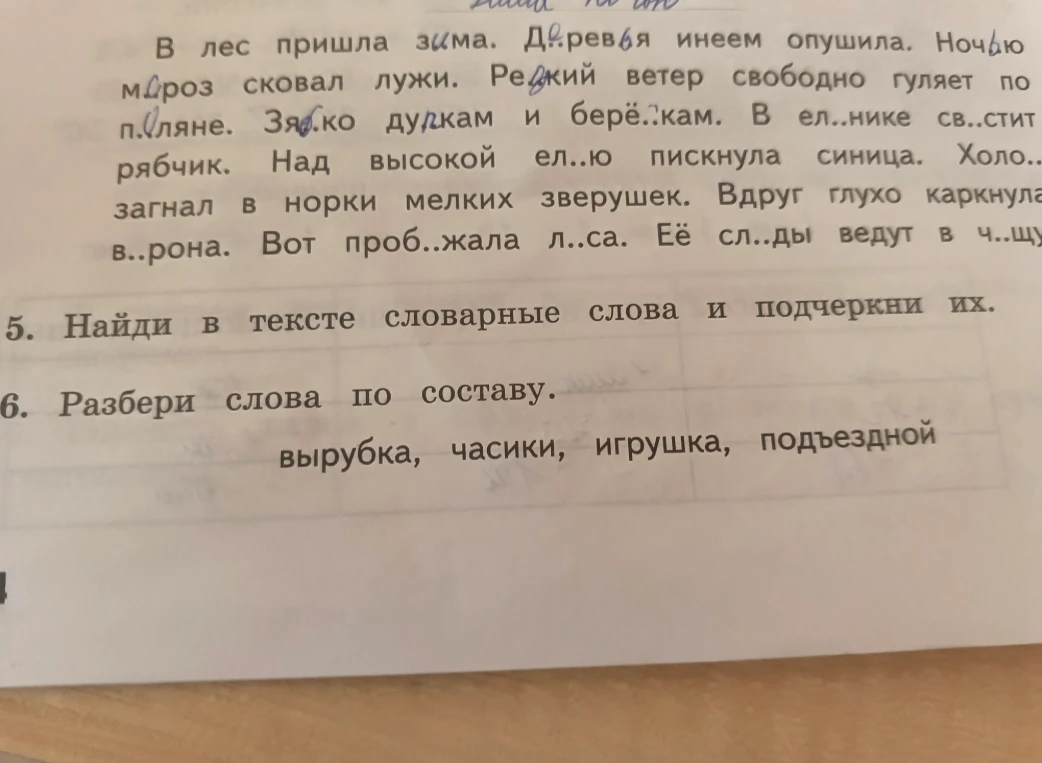 5. Найди в тексте словарные слова и подчеркни их.