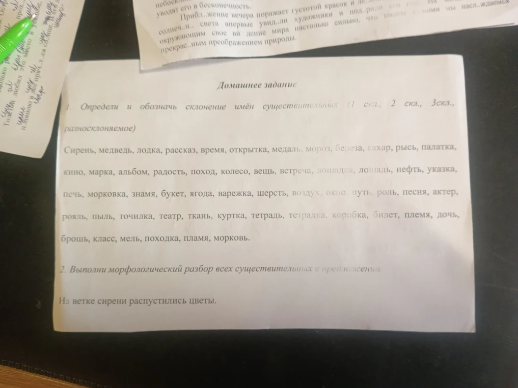 Определи и обозначь склонение имён существительных (1 скл., 2 скл., 3скл., разносклоняемое)