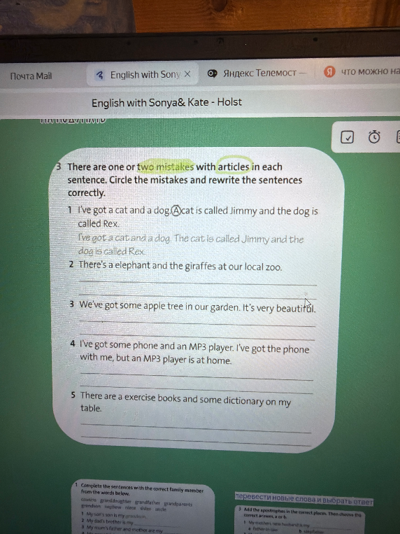 There are one or two mistakes with articles in each sentence. Circle the mistakes and rewrite the sentences correctly.