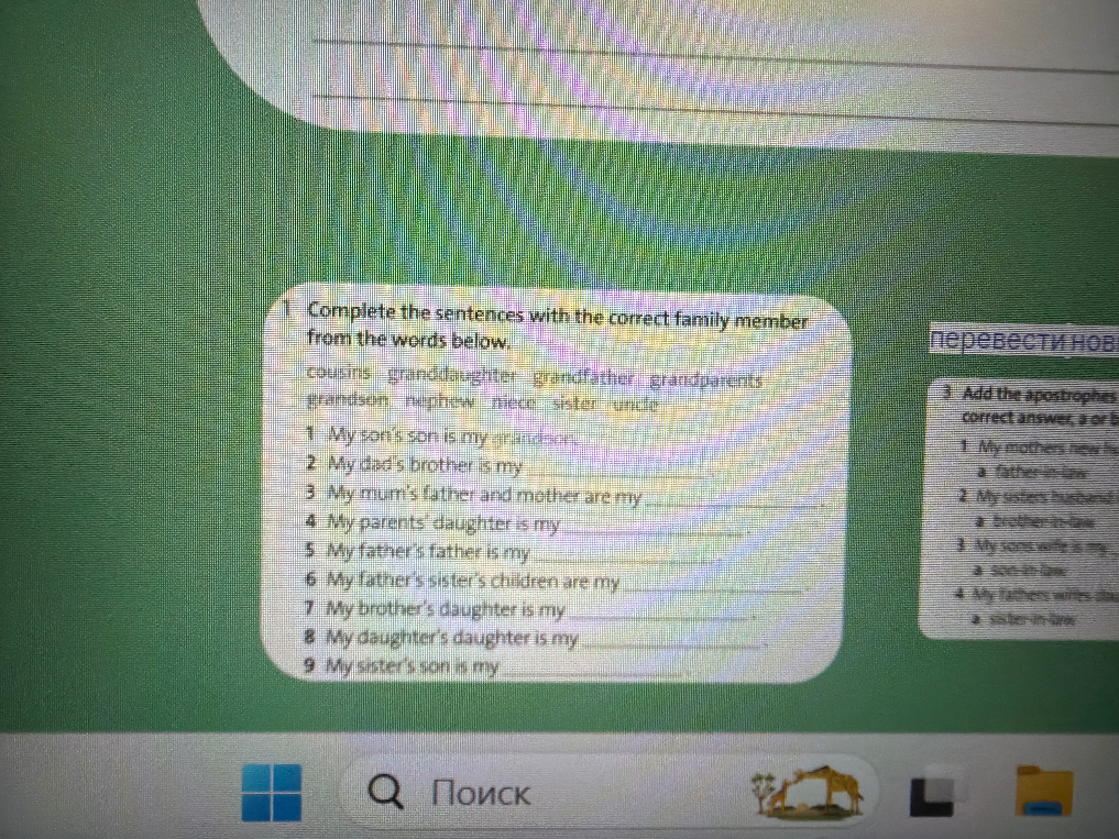 Complete the sentences with the correct family member from the words below