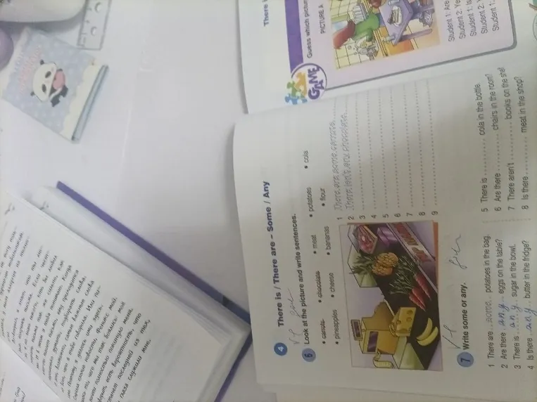Look at the picture and write sentences.