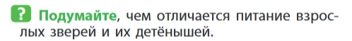 Подумайте, чем отличается питание взрослых зверей и их детёнышей.