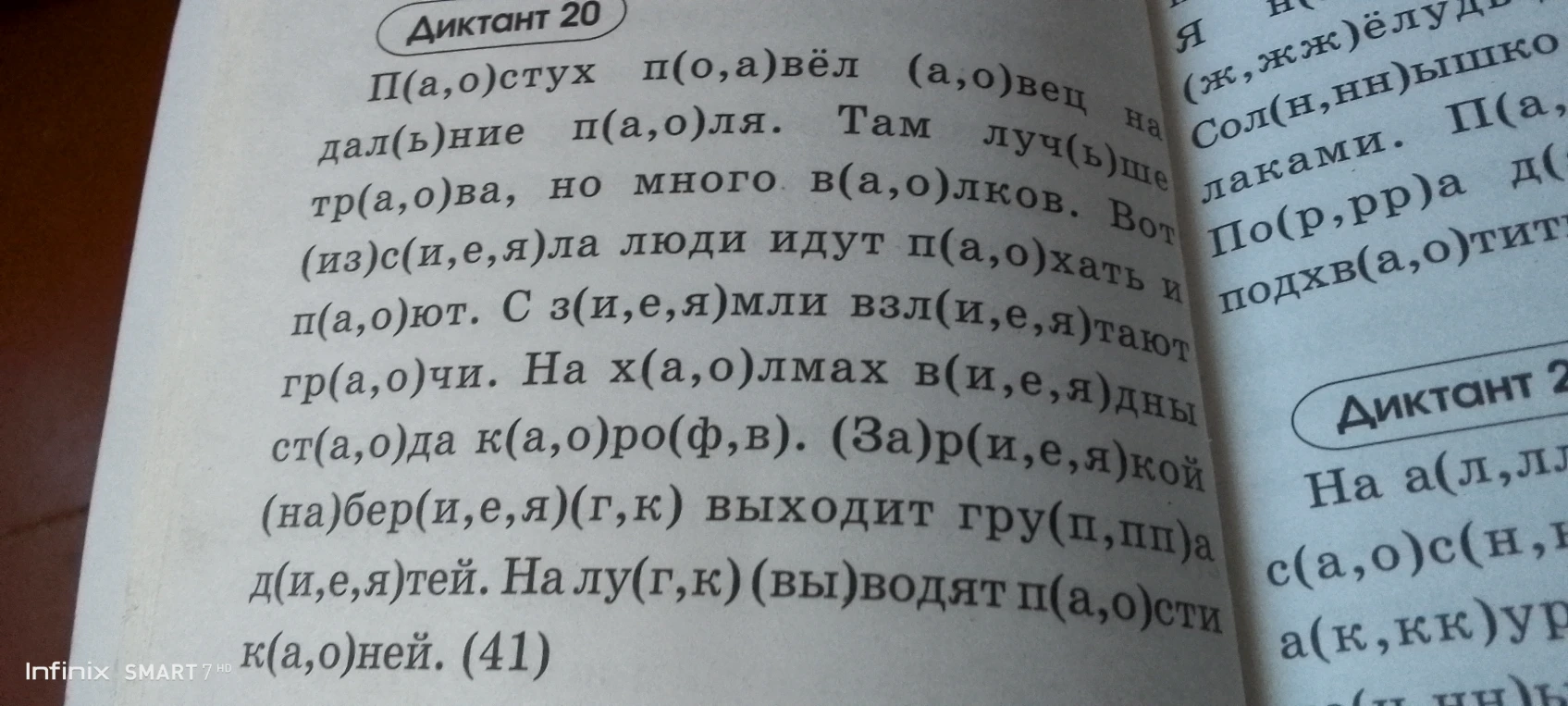 Диктант 20: вставьте пропущенные буквы в словах.