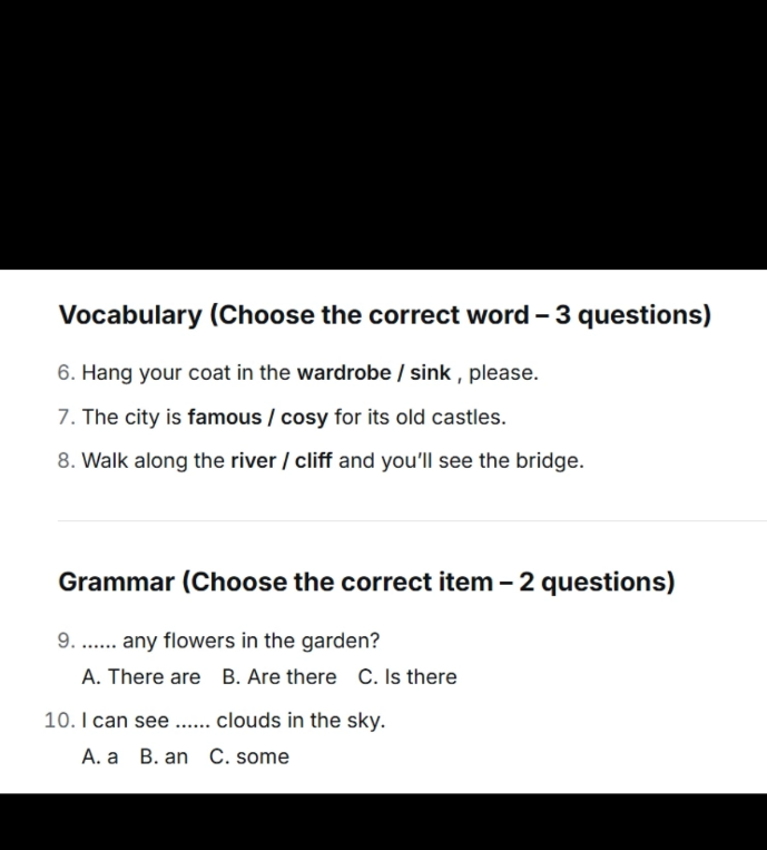 Vocabulary (Choose the correct word – 3 questions)
