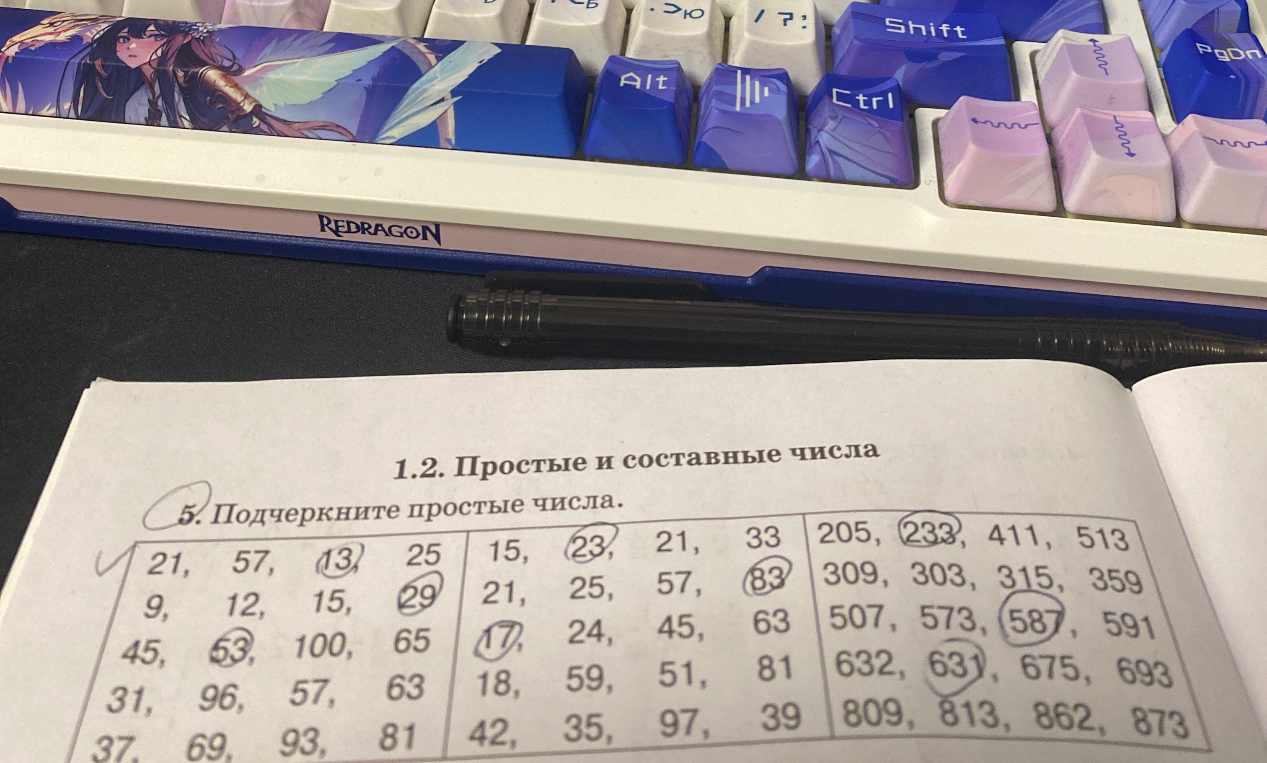 5. Подчеркните простые числа.
