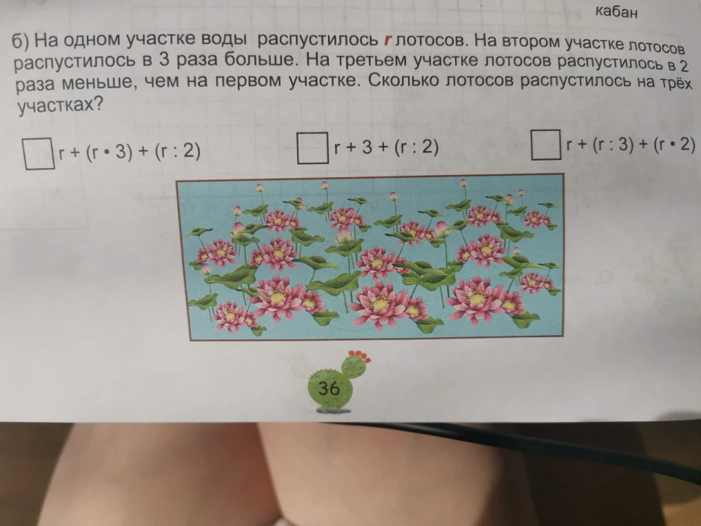 б) На одном участке воды распустилось r лотосов. На втором участке лотосов распустилось в 3 раза больше. На третьем участке лотосов распустилось в 2 раза меньше, чем на первом участке. Сколько лотосов распустилось на трёх участках?