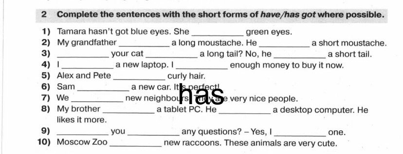 Complete the sentences with the short forms of have/has got where possible.