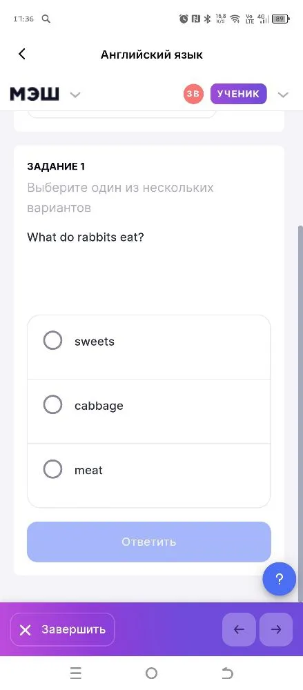 Выберите один из нескольких вариантов. What do rabbits eat?