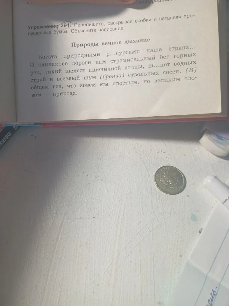 Упражнение 291. Перепишите, раскрывая скобки и вставляя пропущенные буквы. Объясните написание.