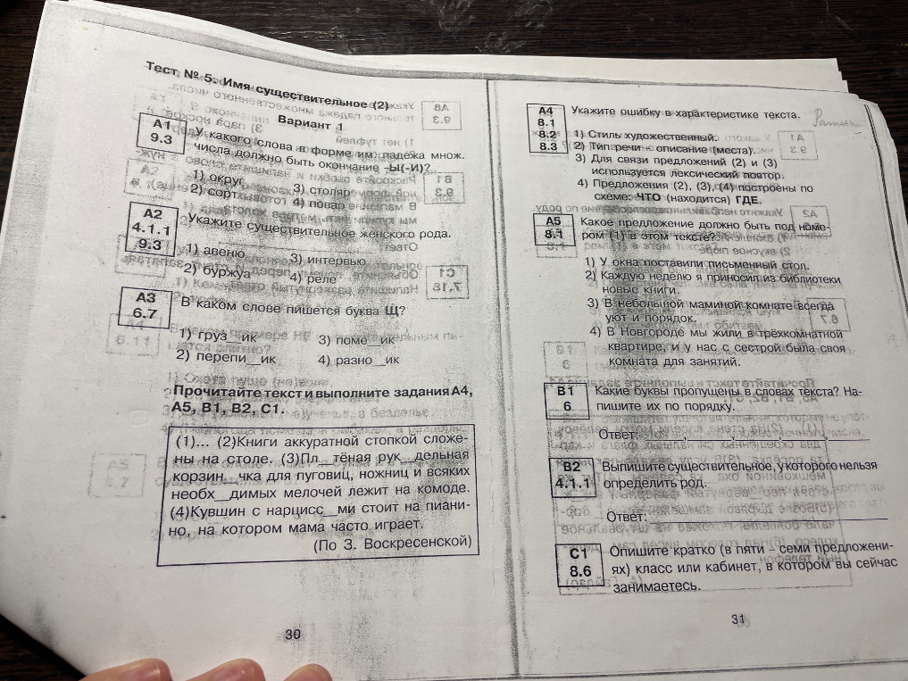 Тест № 5. Имя существительное (2)