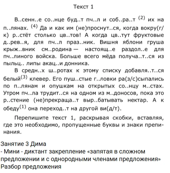 Весеннее солнце будит пчёл и собирает (2) их на полянах.
