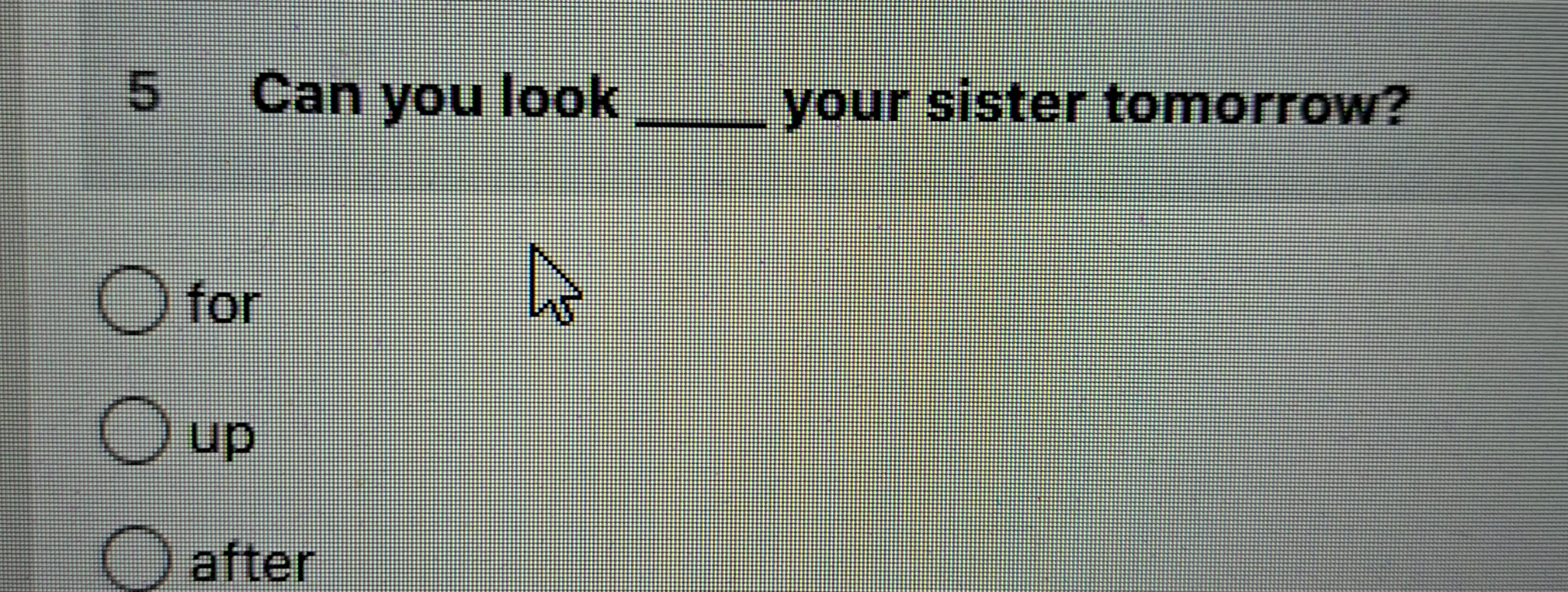 Can you look ____ your sister tomorrow?