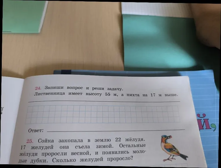 Запиши вопрос и реши задачу. Лиственница имеет высоту 55 м, а пихта на 17 м выше.