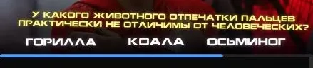 У какого животного отпечатки пальцев практически не отличимы от человеческих?