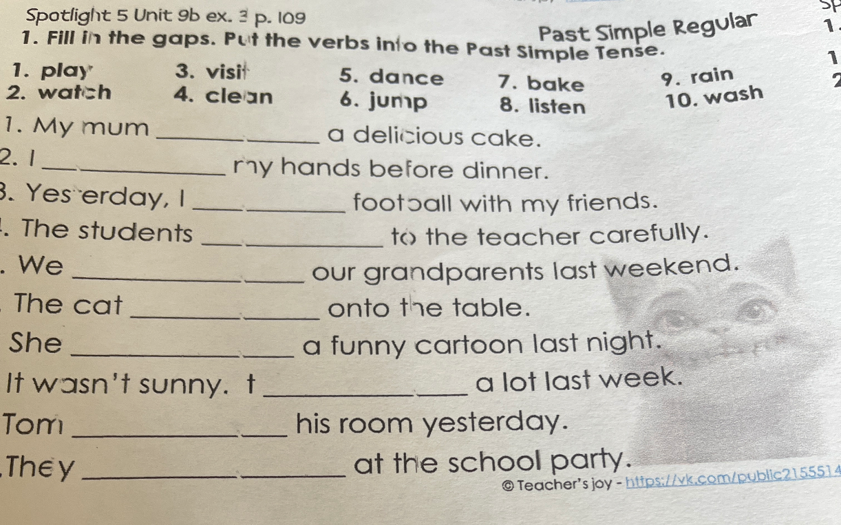 1. Fill in the gaps. Put the verbs into the Past Simple Tense.