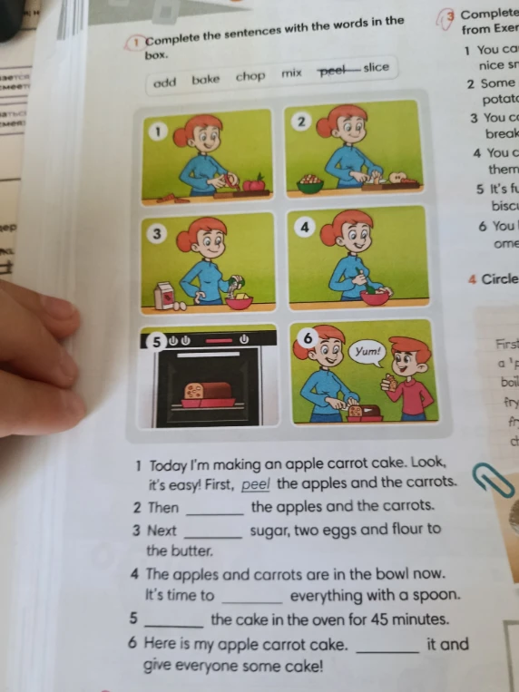 Complete the sentences with the words in the box.