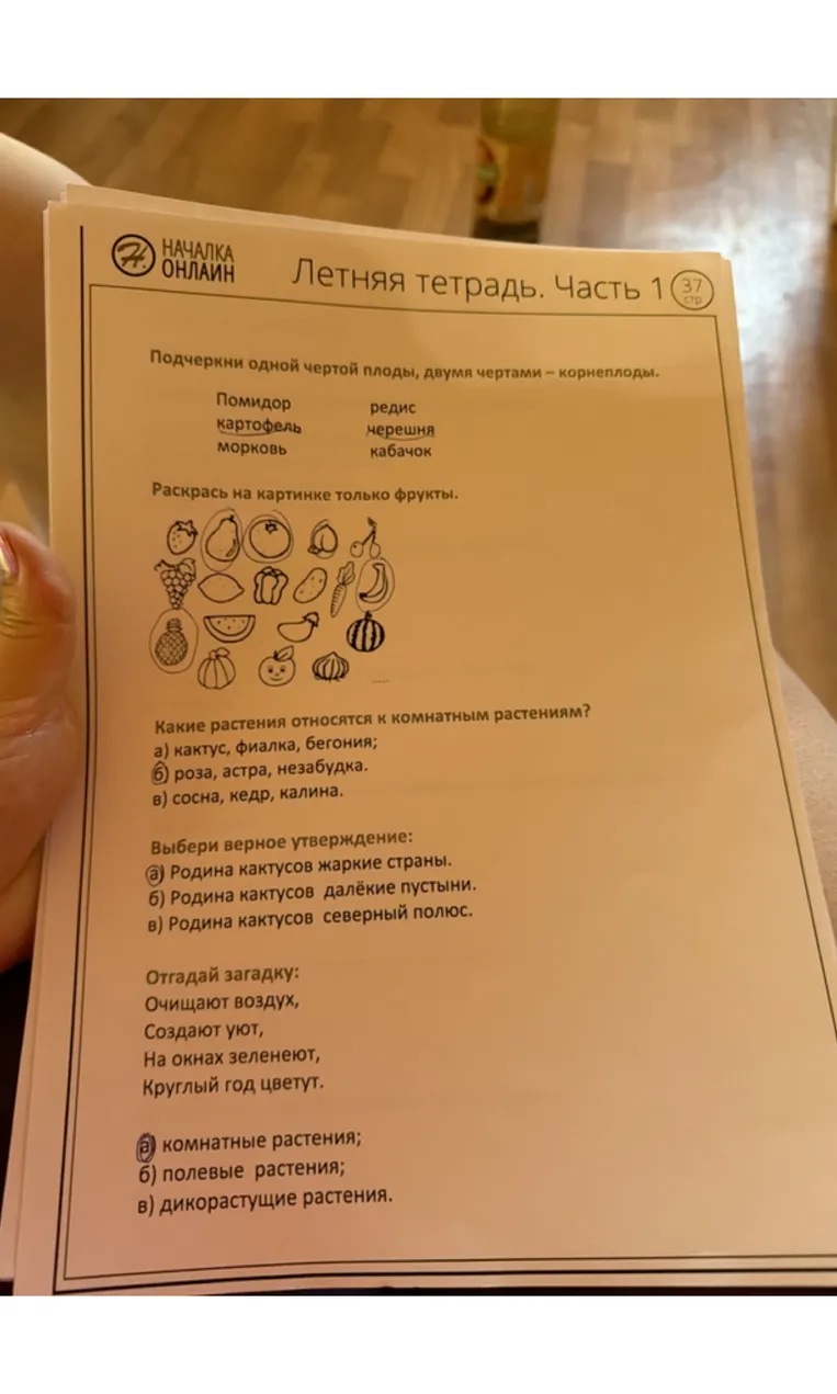 Подчеркни одной чертой плоды, двумя чертами – корнеплоды. Раскрась на картинке только фрукты. Какие растения относятся к комнатным растениям?