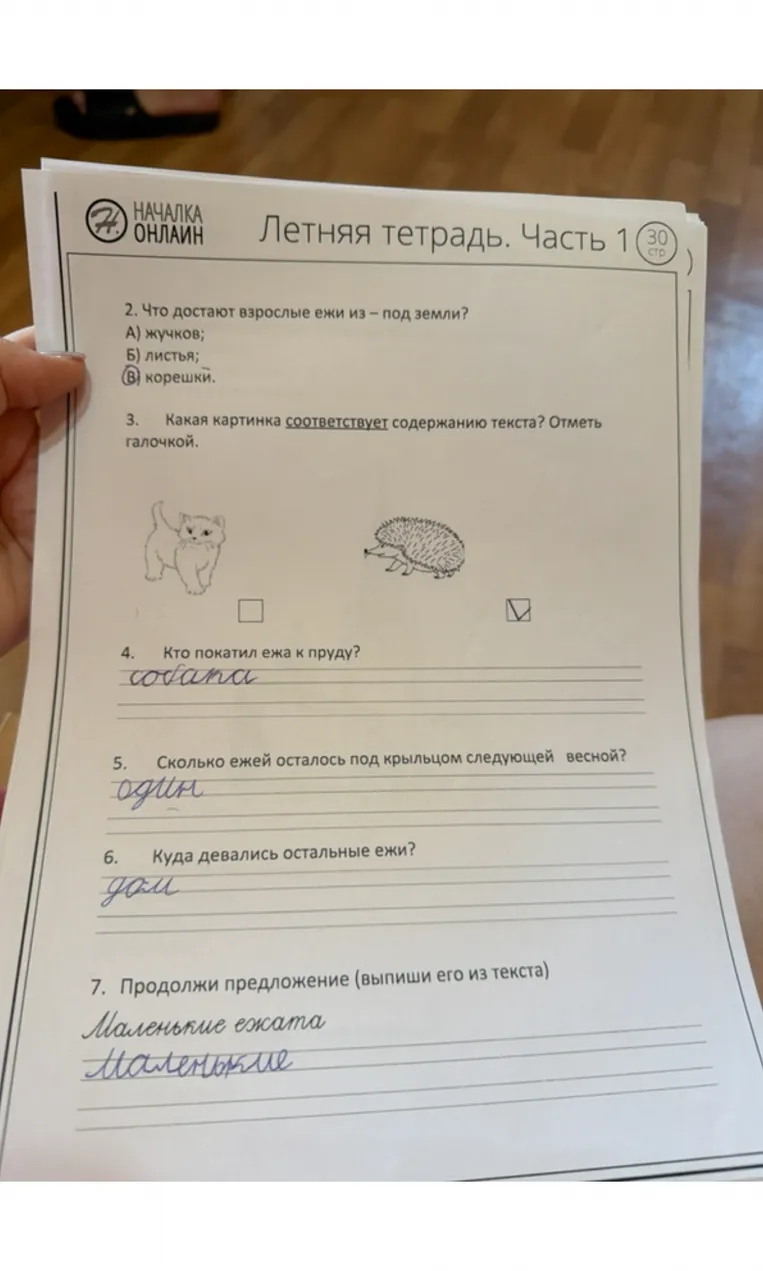 Что достают взрослые ежи из – под земли? Какая картинка соответствует содержанию текста? Кто покатил ежа к пруду?