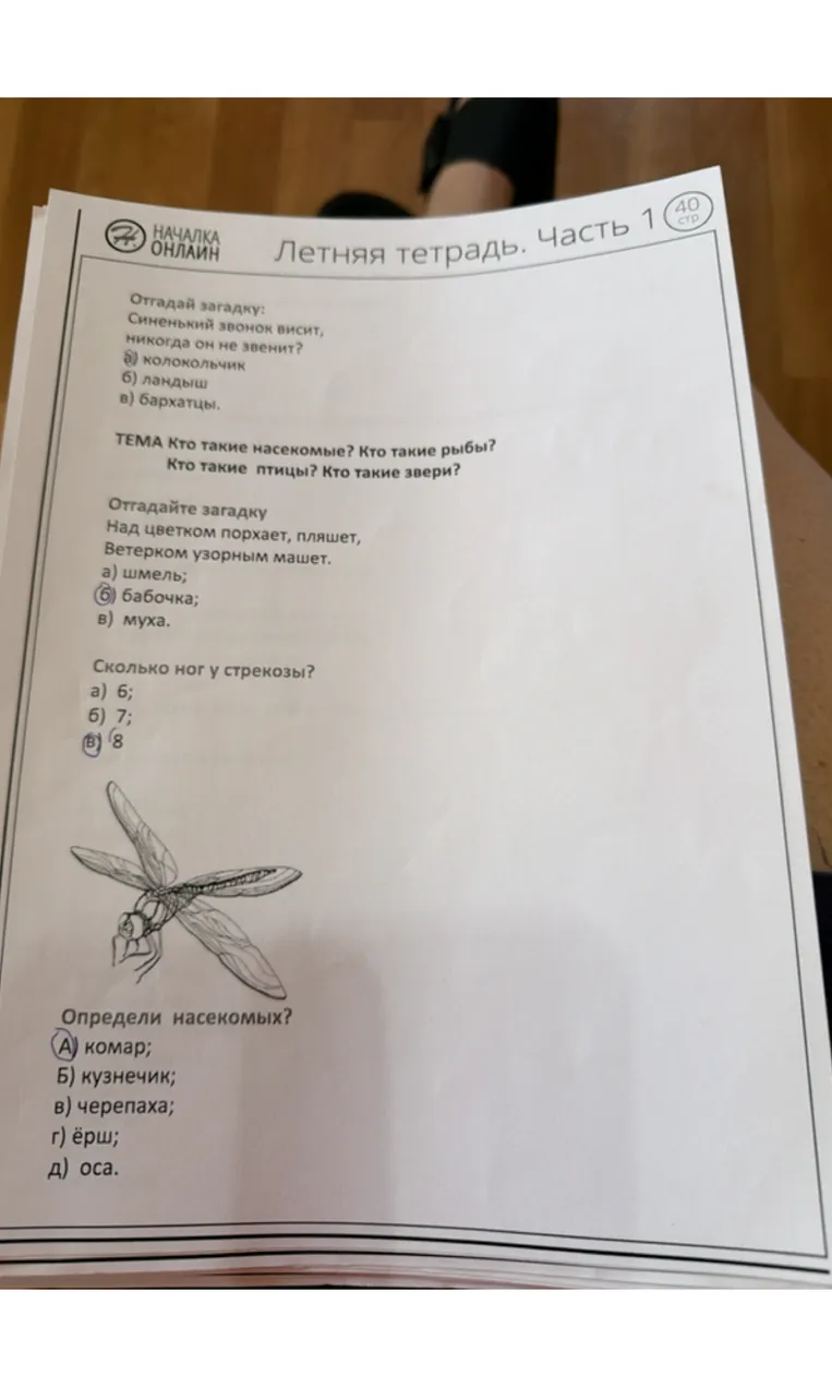 Отгадай загадку: Синенький звонок висит, никогда он не звенит?