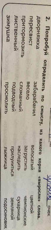 2. Попробуй определить по смыслу, из какого корня «выросли» слова.
