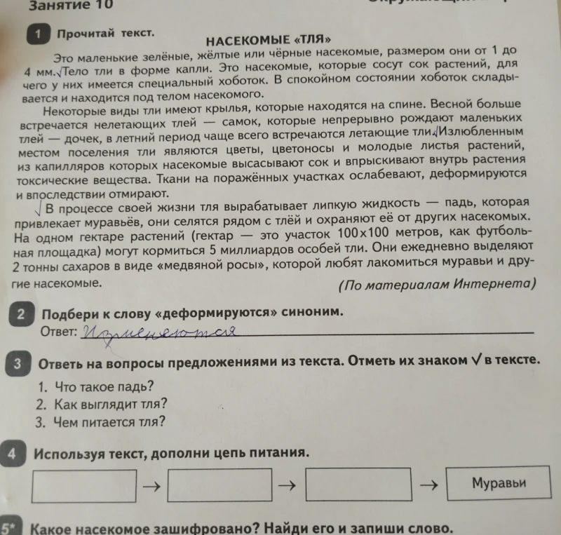 Используя текст, дополни цепь питания.