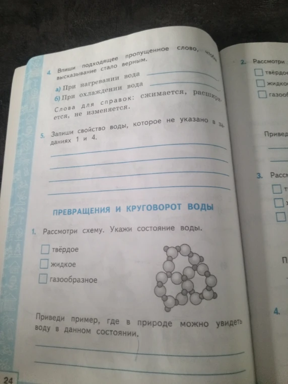 Впиши подходящее пропущенное слово, чтобы высказывание стало верным.