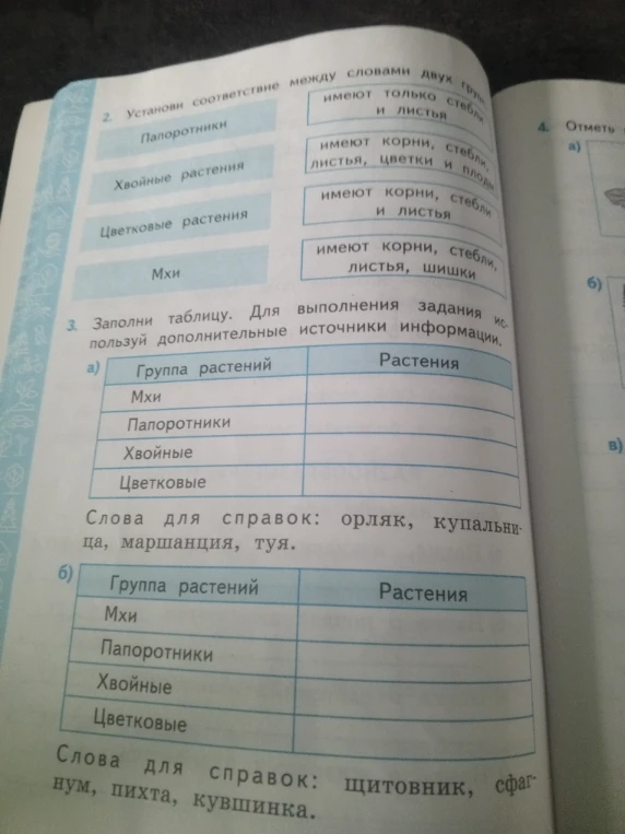 Установи соответствие между словами двух групп (Папоротники, Хвойные растения, Цветковые растения, Мхи). Заполни таблицу.