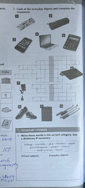 Look at the everyday objects and complete the crossword.
