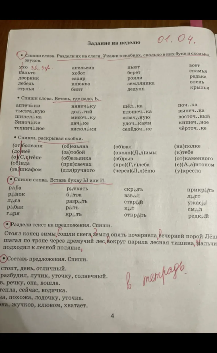 Спиши слова. Раздели их на слоги. Укажи в скобках, сколько в них букв и сколько звуков.