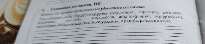 Вставьте где нужно пропущенные удвоенные согласные.