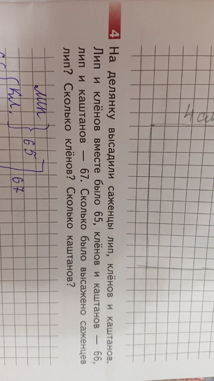 На делянку высадили саженцы лип, клёнов и каштанов. Лип и клёнов вместе было 65, клёнов и каштанов — 66, лип и каштанов — 67. Сколько было высажено саженцев лип? Сколько клёнов? Сколько каштанов?