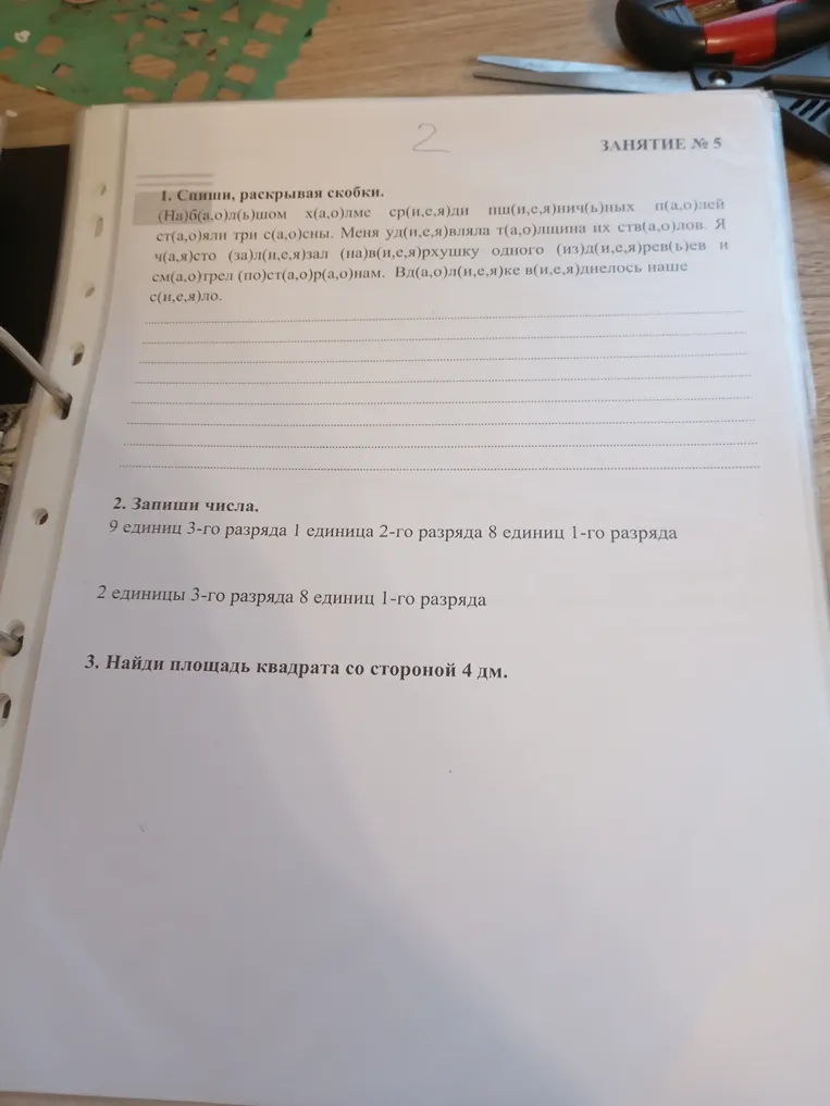 1. Спиши, раскрывая скобки. (На)б(а,о)л(ь)шом х(а,о)лме ср(и,е,я)ди пш(и,е,я)нич(ь)ных п(а,о)лей ст(а,о)яли три с(а,о)сны.