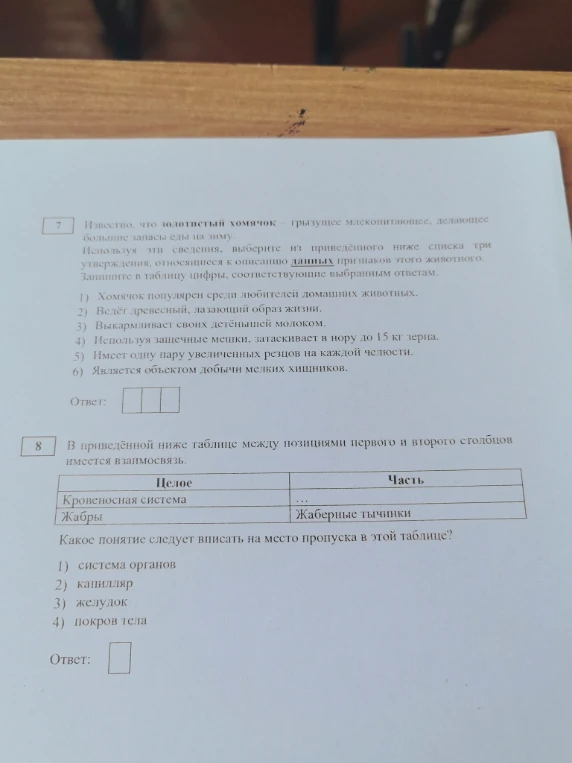 Известно, что золотистый хомячок — грызущее млекопитающее, делающее большие запасы еды на зиму.