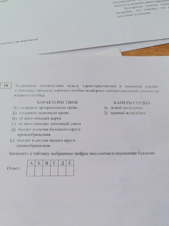 Установите соответствие между характеристиками и камерами сердца: к каждому элементу первого столбца подберите соответствующий элемент из второго столбца.