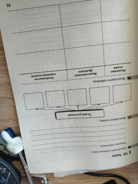 Закончите определение. Тканью называют...