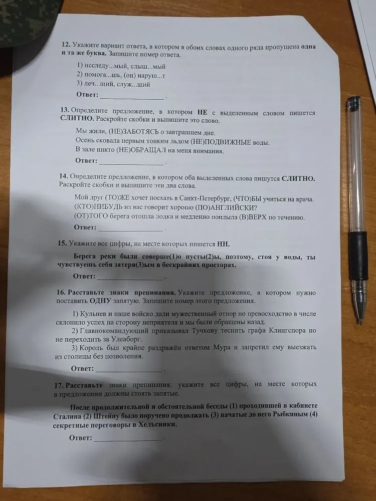 Выполните задания 12-17 по русскому языку: правописание суффиксов, личных окончаний глаголов, НЕ с различными частями речи, слитное и раздельное написание слов, Н и НН, знаки препинания.